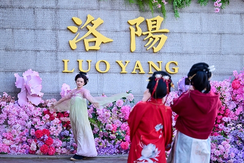 届中国洛阳牡丹文化节文明实践工作综述CQ9电子文明花开满城芳——第42(图1)